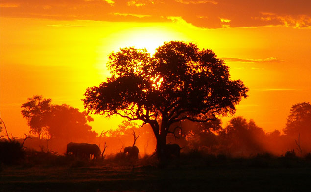 AFRICA1